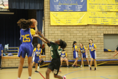2017 Girls Basketball