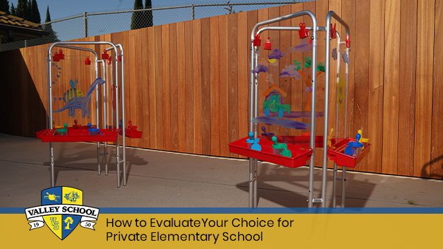 How to Evaluate Your Choice for Private Elementary School