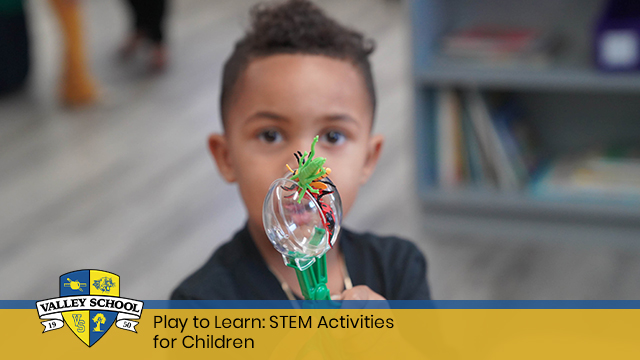 Play to Learn: STEM Activities for Children