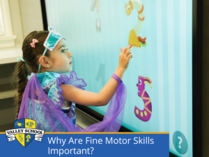 Preschools in Los Angeles: The Importance of Fine Motor Skills