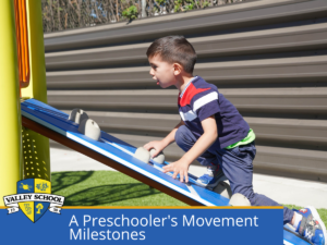 What Are the Developmental Stages of Preschoolers in Valley Schools?